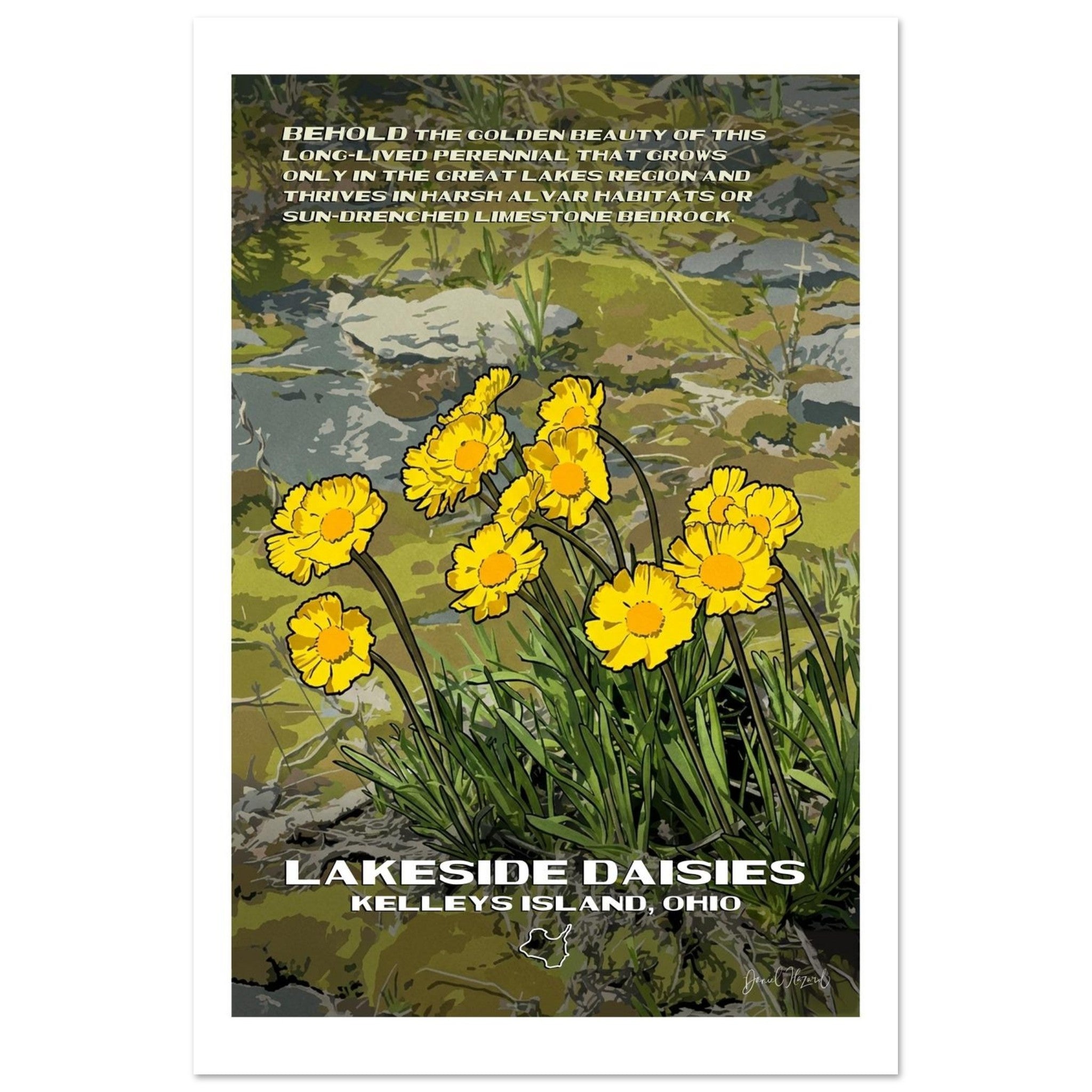 8e6d930a-262c-47f4-8b31-d62396007340